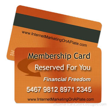PVC Hico/Loco Magnetic Card from Direct Factory